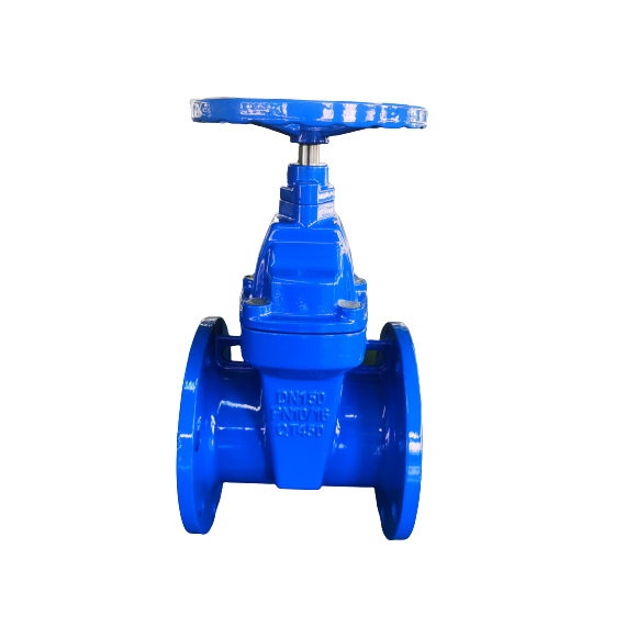 BS5163 Resilient seated gate valve