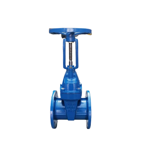 BS5163 Resing Stem Resilient Seated Gate Valve