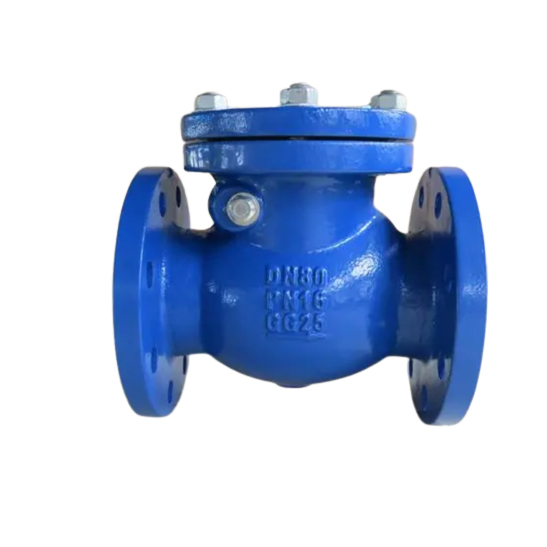 Swing check valve