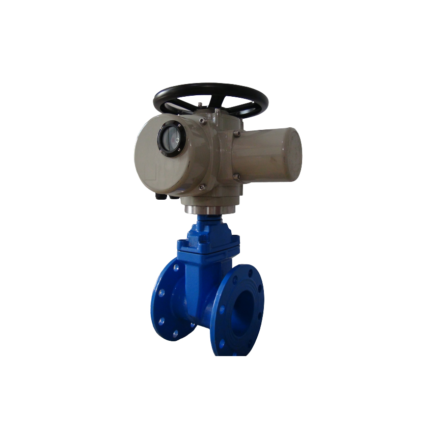 gate valve with actutor